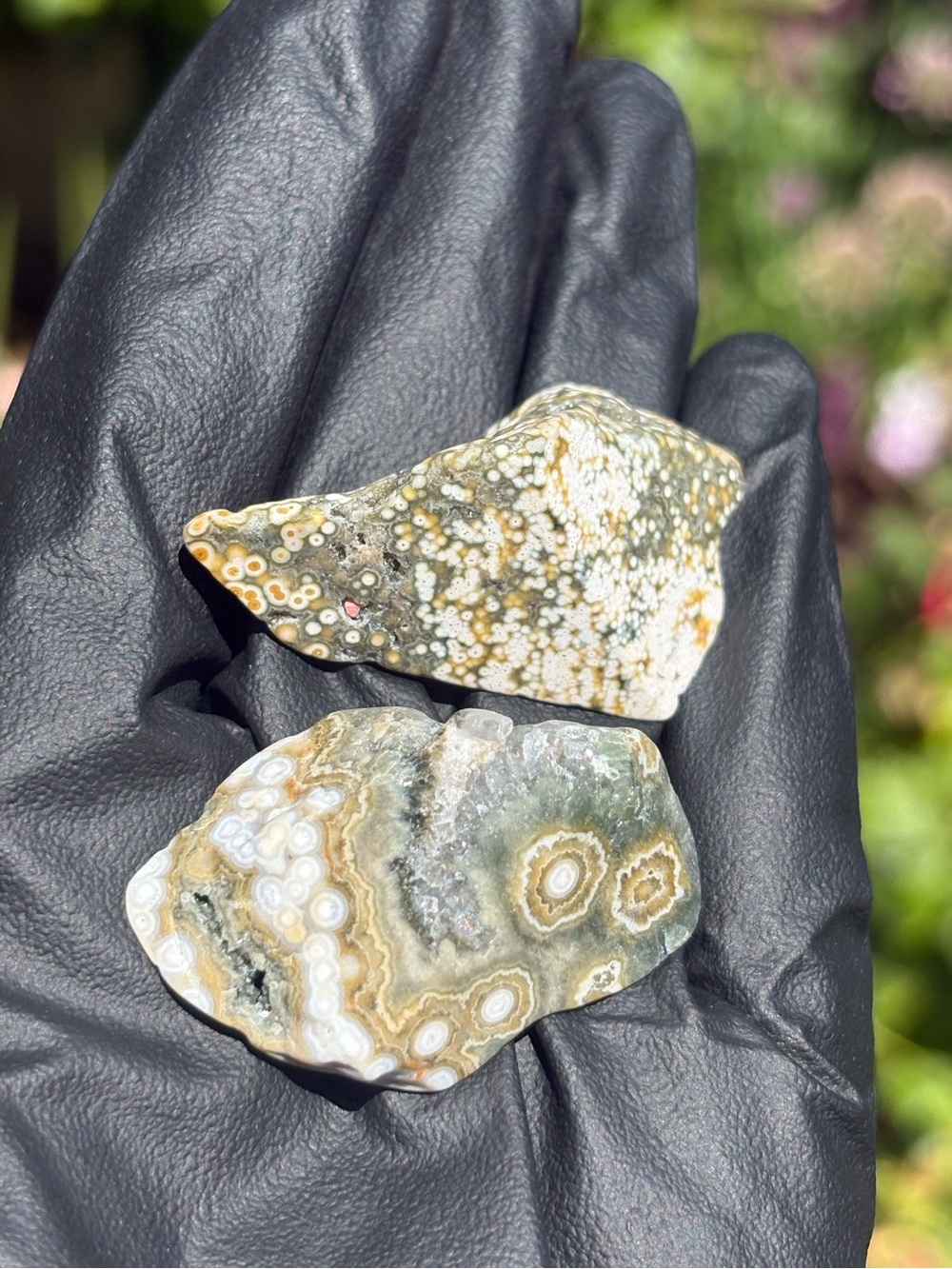 Ocean Jasper Crystal Set - Polished Sea Jasper Bundle - Orbicular Jasper - Picture 3 of 17